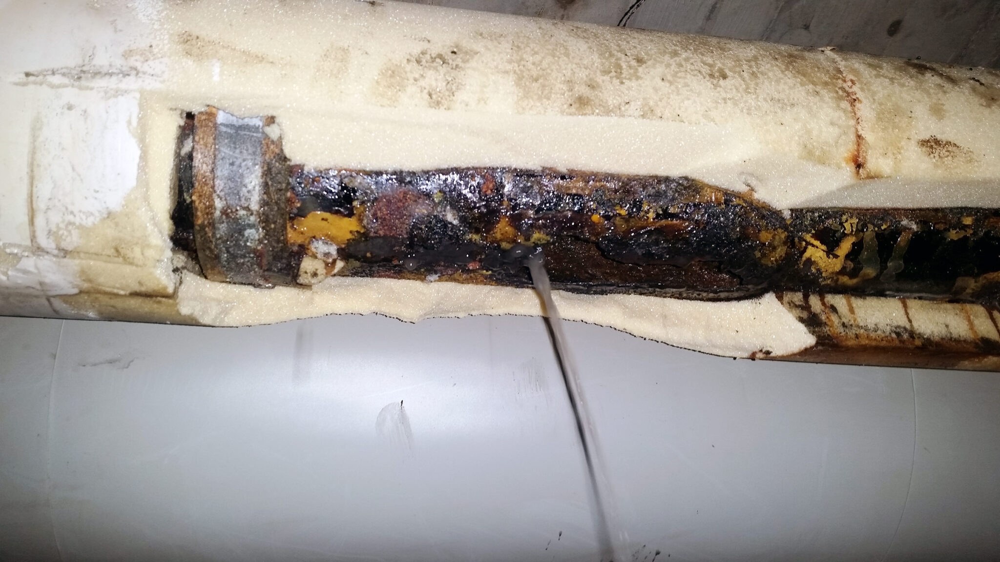 Dans le quotidien varié de TuyauMax, il arrive souvent que l'on trouve des objets qui surprennent n...